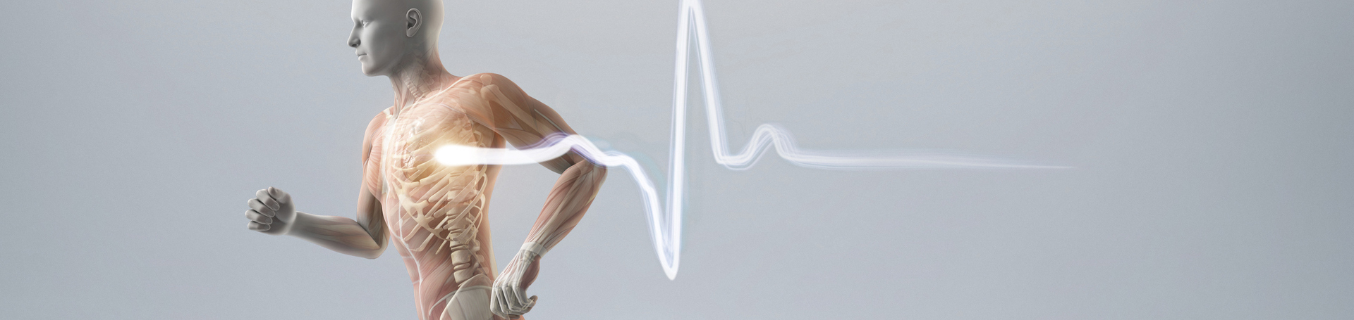 VP_VP_ALL_1920x455_1805_Anatomy_Man_Running_Heartrate.jpg